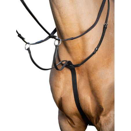 Martingala ad anelli LeMieux Arika