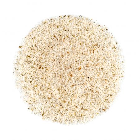 Psyllium biondo Hilton Herbs