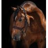 Capestro Rambo Micklem Horseware - Marrone