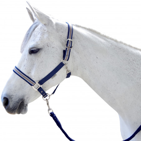 Set cavezza e lunghina Doulovo Flags & Cup