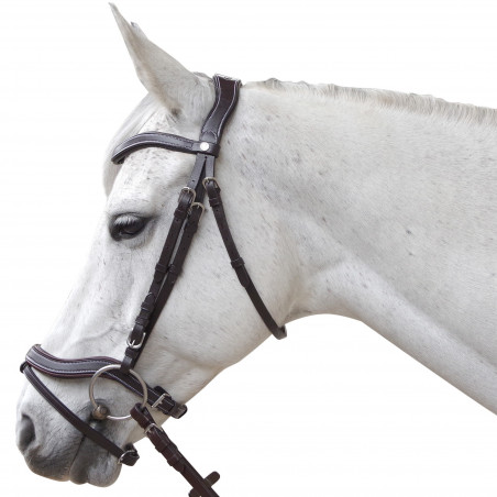 Briglia Canter Baloubet