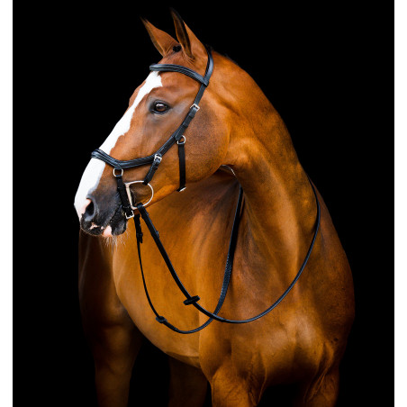 Briglia Horseware Micklem 2 Deluxe Competition