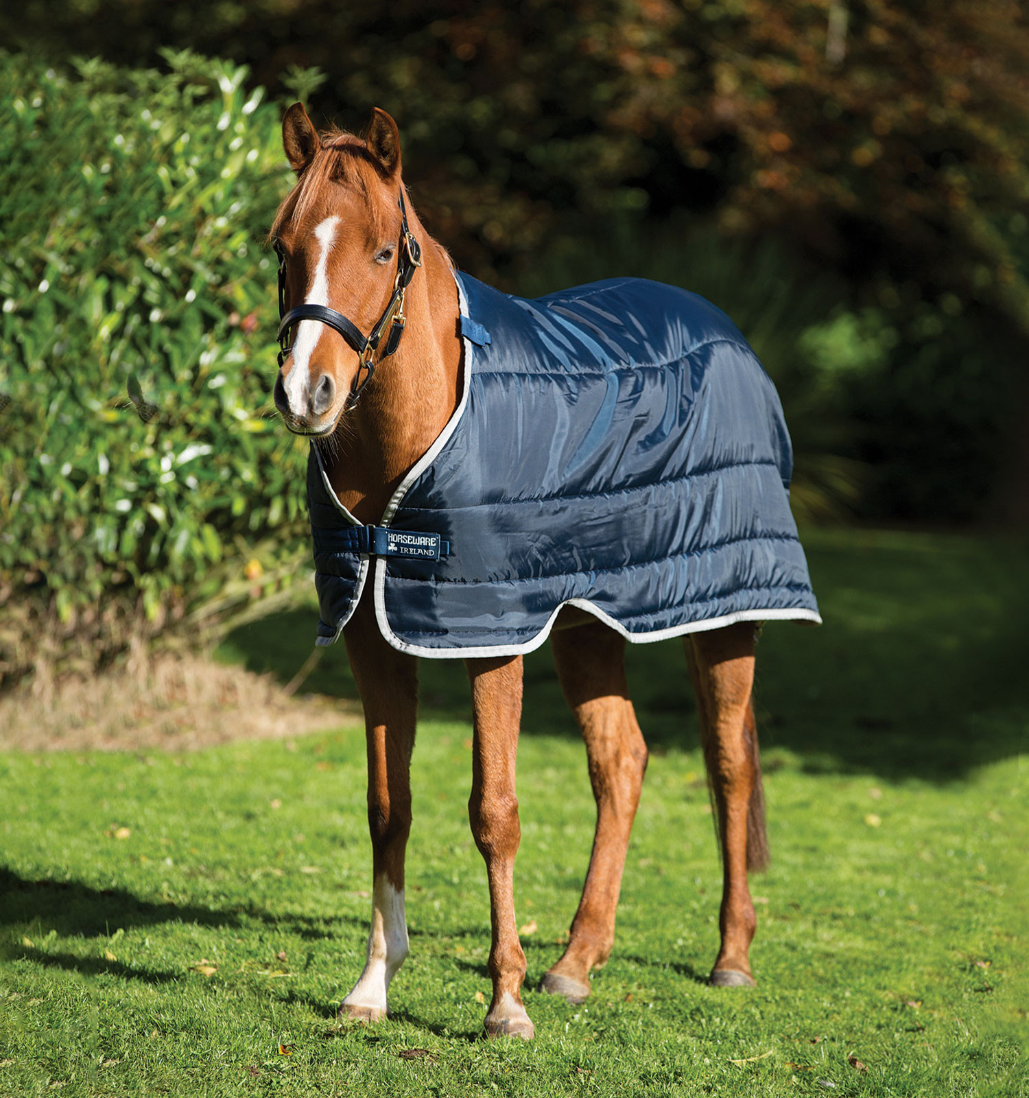 Sottocoperta Horseware pony 200g