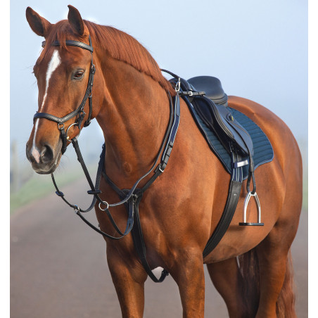 Pettorale Horseware Micklem