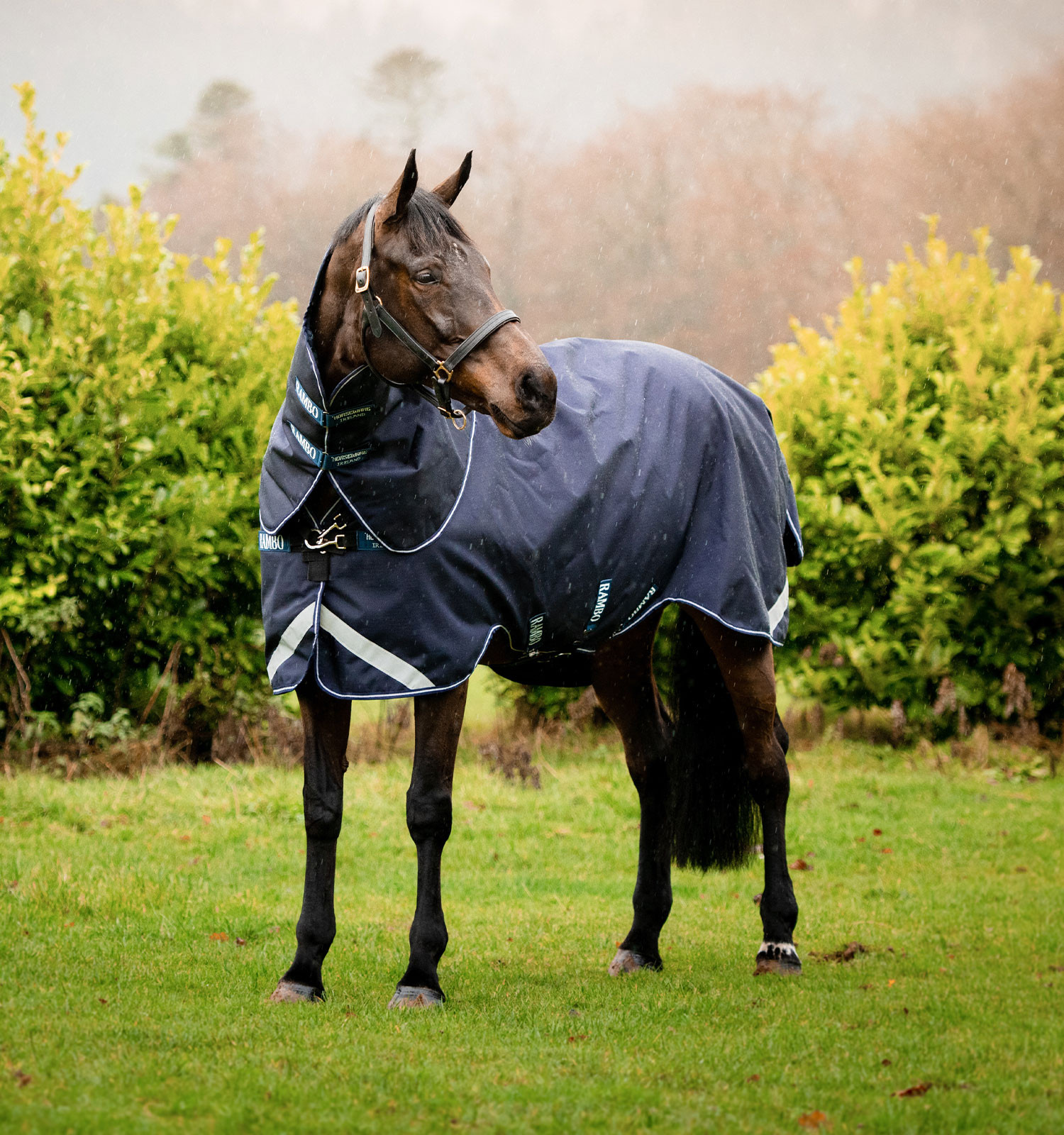 Coperta Horseware Rambo Duo Force 100g con liner da 100g e 300g Blu marino / blu marino / bianco Coperta Horseware Rambo Duo Force 100g con liner da 100g e 300g Blu marino / blu marino / bianco