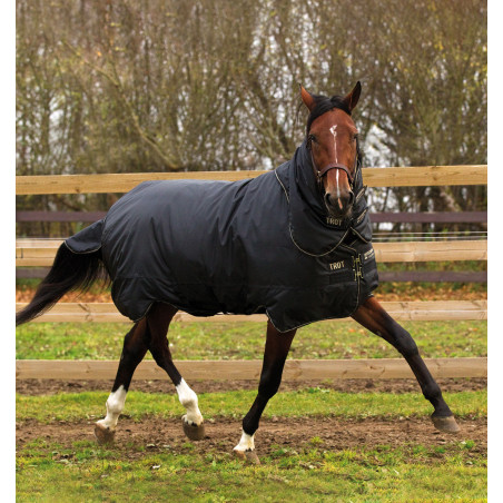 Coperta Horseware Trot Plus con copricollo 350g