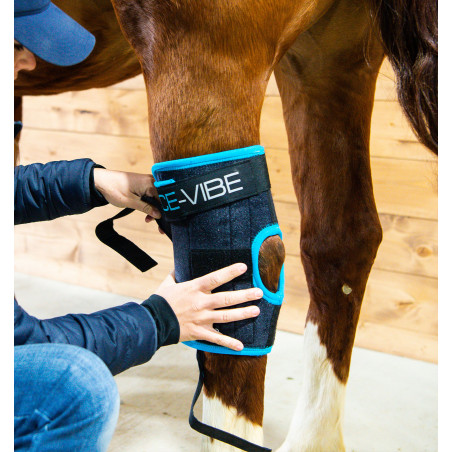 Paragambe Horseware Ice-Vibe