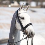 Briglia Weymouth Vienna Horze