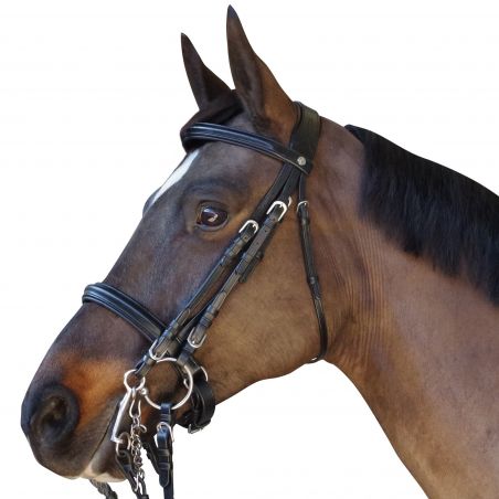 Briglia Pull Back Euro Canter