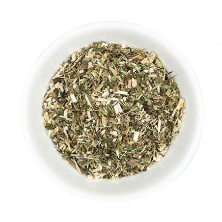 Echinacea pianta intera Hilton Herbs