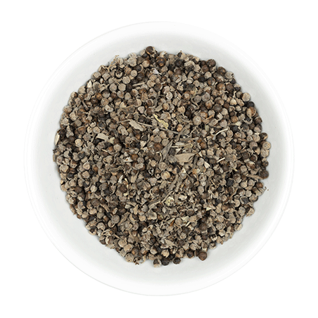 Vitex agnus castus semi Hilton Herbs