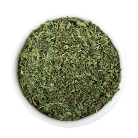 Menta pianta Hilton Herbs