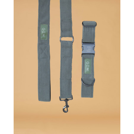 Set Collare & Guinzaglio GEM