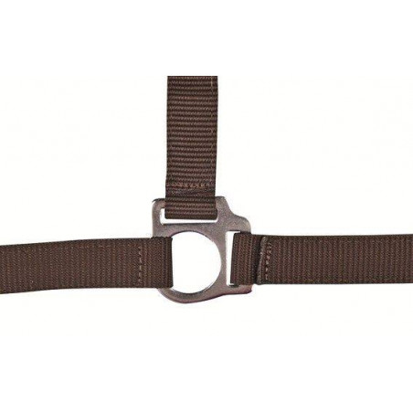 Capezzina Stars Economy HKM