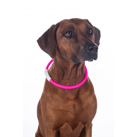 Collare luminoso per cani a LED HKM