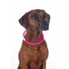 Collare luminoso per cani a LED HKM - Rosa