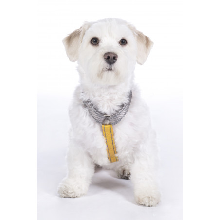 Pettorina per cane Anam Cara Basic in nylon HKM