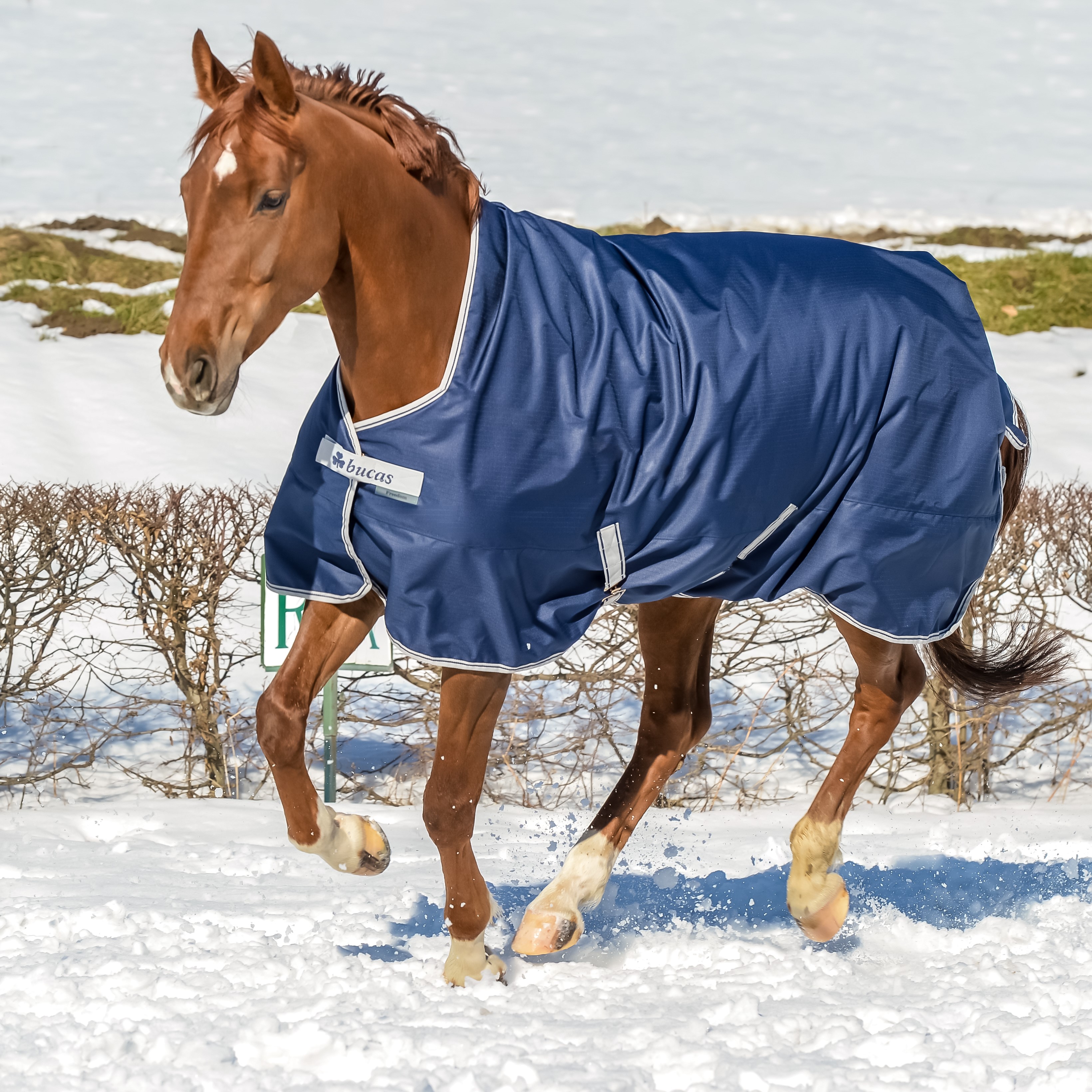 Coperta Bucas Freedom Turnout Light High Neck Blu navy