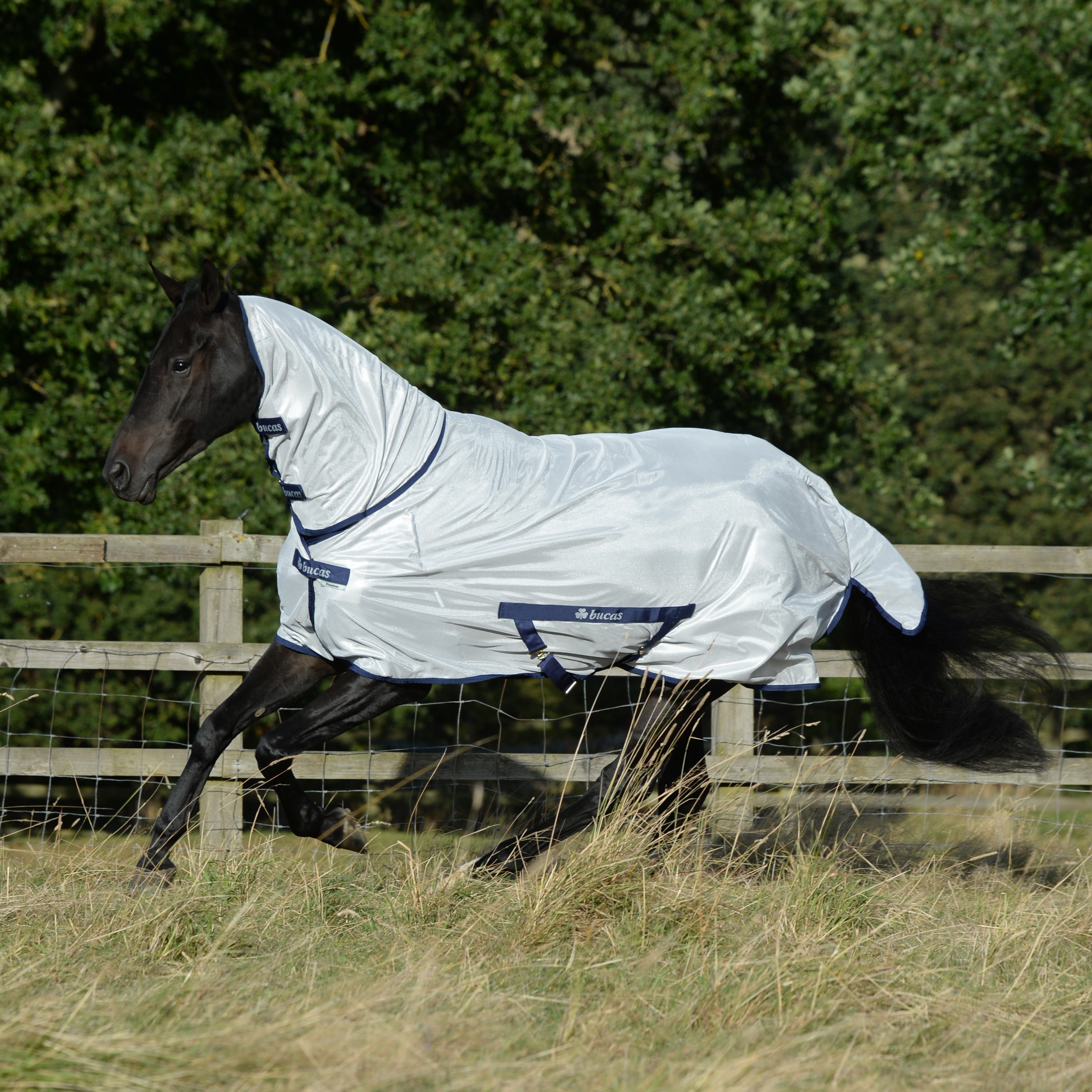 Coperta anti-mosche Bucas Freedom Full Neck Argento