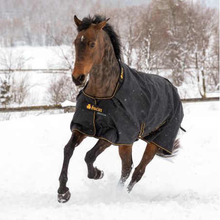 Coperta Bucas Irish Turnout Light 50g con copricollo