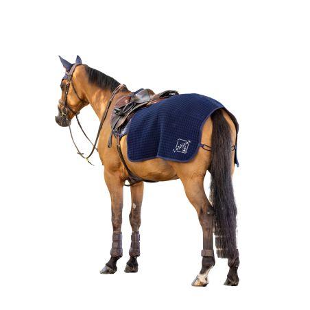 Coprireni LeMieux Clima-Tek