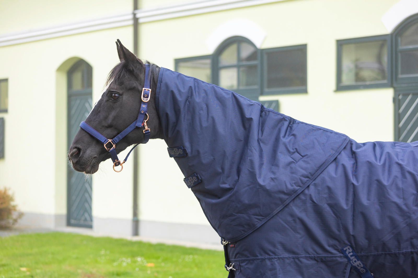 Collo alto High Neck per RugBe 200 Covalliero Blu navy scuro