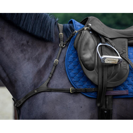 Pettorale Anatomico Dy'on D Collection