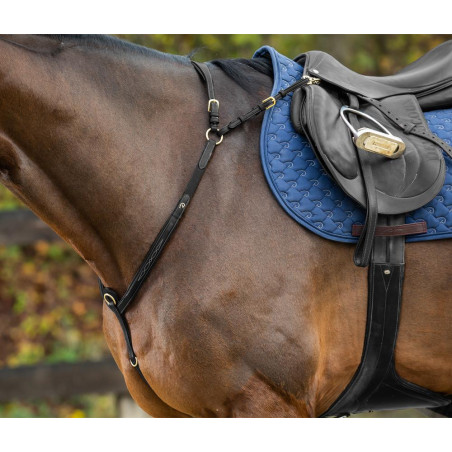 Pettorale con martingala Dy'on Collezione D