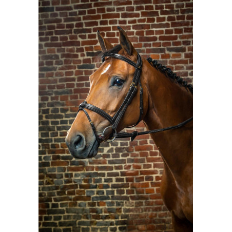 Briglia Capezzina Combinata Dy'on D Collection