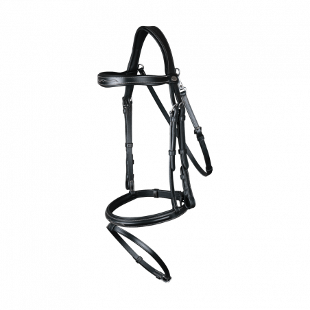 Briglia con Museruola Combinata con Moschettone Dy'on Working