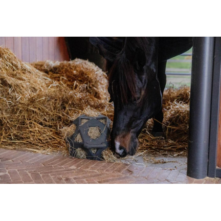 Palla da gioco / palla per fieno Kentucky