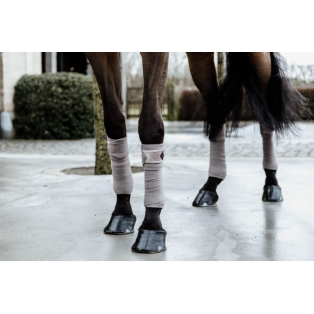 Fasce da polo Polar Fleece Basic Velvet Kentucky