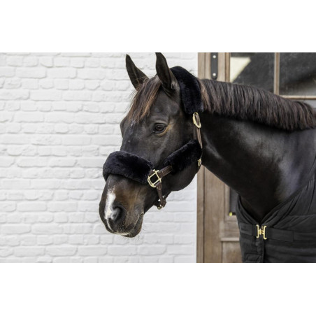 Copri testiera in montone per cavezza 4 pezzi Kentucky