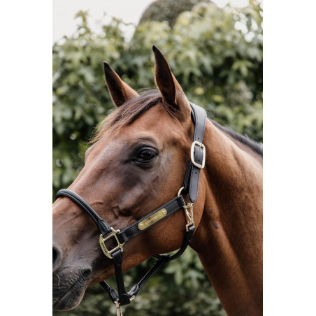 Capezzina Anatomica in Pelle Kentucky