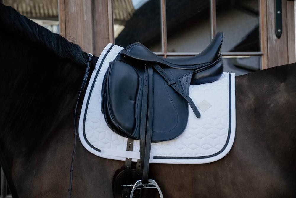 Sottosella Glitter Rope dressage Kentucky