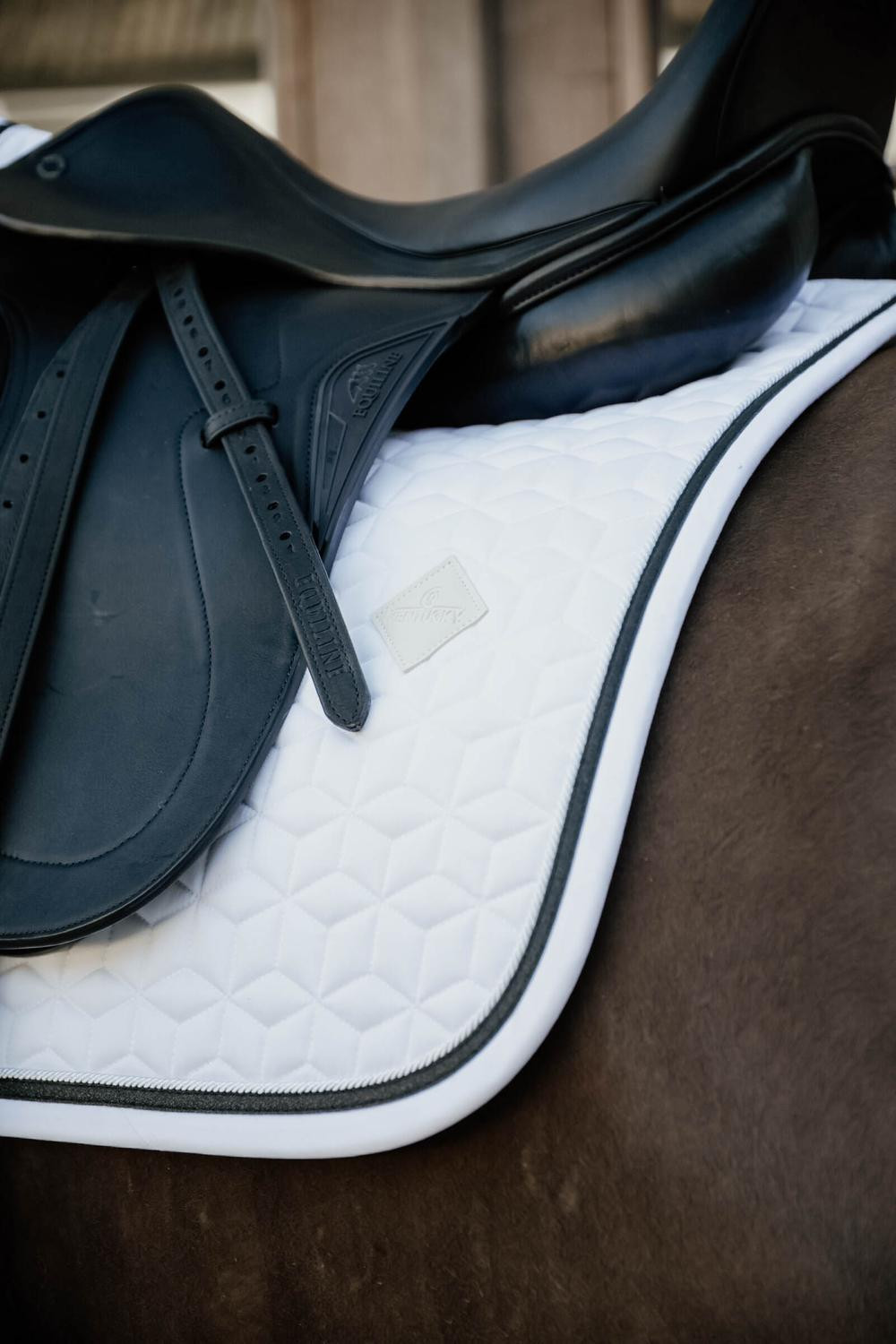 Sottosella Glitter Rope dressage Kentucky Sottosella Glitter Rope dressage Kentucky
