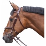 Bridon Lexington Austin Incrociato