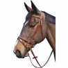 Bridon Lexington Denver Combine - Cammello