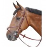 Bridon Lexington Denver Incrociato - Marrone