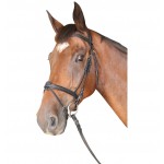 Bridon Cabourg Combinato Privilege Equitazione