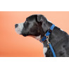 Collare per cane Plaited Nylon Kentucky - Azzurro chiaro
