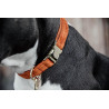 Collare per cane Velvet Kentucky - Arancione