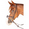 Bridon Dinard Combinato Privilege Equitazione - Nero