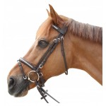 Briglia Pull Back Lacanau Privilege Equitazione