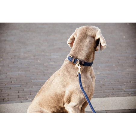 Guinzaglio per cane in nylon intrecciato 120 cm Kentucky