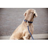 Guinzaglio per cane in nylon intrecciato 120 cm Kentucky - Blu navy