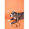 Guinzaglio per cane in nylon intrecciato 120 cm Kentucky - Beige
