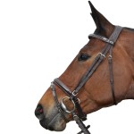 Briglia Pull Back Cannes Privilege Equitazione
