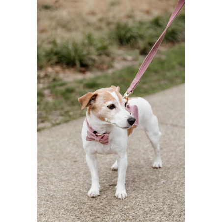 Guinzaglio per cane Velvet 120 cm Kentucky