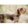 Guinzaglio per cane Velvet 120 cm Kentucky - Senape